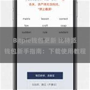 Bitpie钱包更新 比特派钱包新手指南：下载使用教程