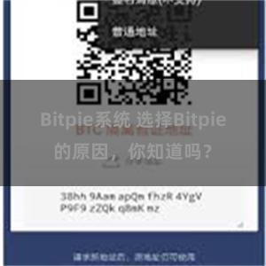 Bitpie系统 选择Bitpie的原因，你知道吗？