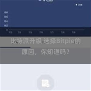 比特派升级 选择Bitpie的原因，你知道吗？