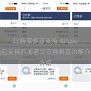 比特派多币支持 Bitpie钱包支持的加密货币种类及功能介绍