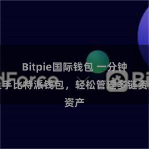 Bitpie国际钱包 一分钟上手比特派钱包，轻松管理多链资产