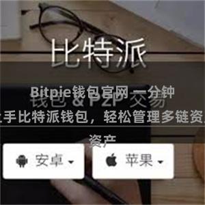 Bitpie钱包官网 一分钟上手比特派钱包，轻松管理多链资产