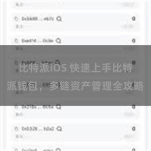 比特派iOS 快速上手比特派钱包，多链资产管理全攻略