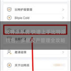 比特派系统 快速上手比特派钱包，多链资产管理全攻略