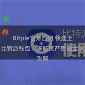 Bitpie官方应用 快速上手比特派钱包，多链资产管理全攻略