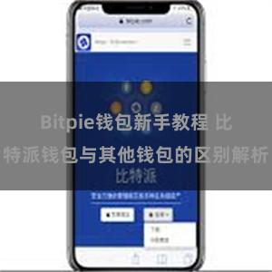 Bitpie钱包新手教程 比特派钱包与其他钱包的区别解析