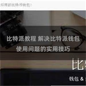 比特派教程 解决比特派钱包使用问题的实用技巧