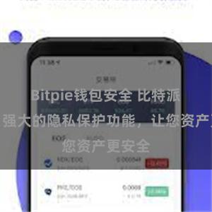 Bitpie钱包安全 比特派钱包：强大的隐私保护功能，让您资产更安全