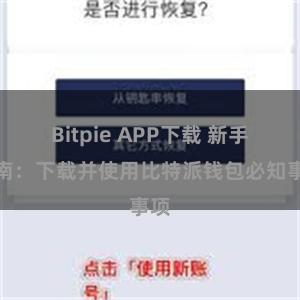 Bitpie APP下载 新手指南：下载并使用比特派钱包必知事项