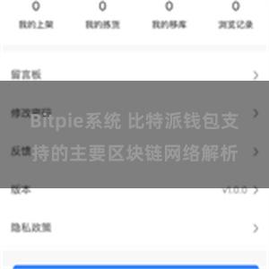 Bitpie系统 比特派钱包支持的主要区块链网络解析