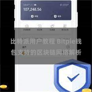 比特派用户教程 Bitpie钱包支持的区块链网络解析