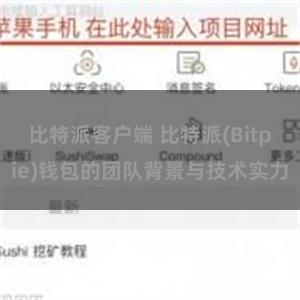 比特派客户端 比特派(Bitpie)钱包的团队背景与技术实力