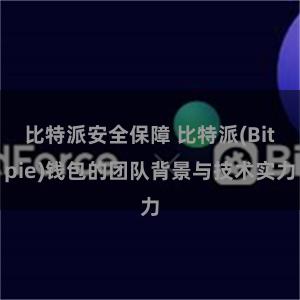 比特派安全保障 比特派(Bitpie)钱包的团队背景与技术实力