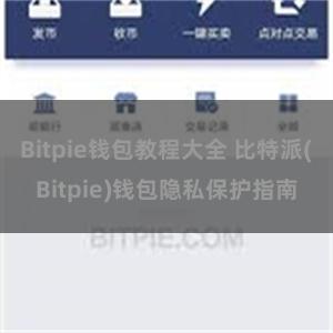 Bitpie钱包教程大全 比特派(Bitpie)钱包隐私保护指南