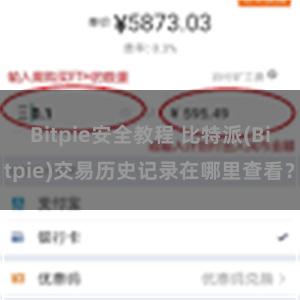 Bitpie安全教程 比特派(Bitpie)交易历史记录在哪里查看？