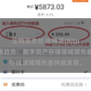 比特派支付 比特派(Bitpie)钱包市场趋势：数字资产存储领域领先者持续发展。