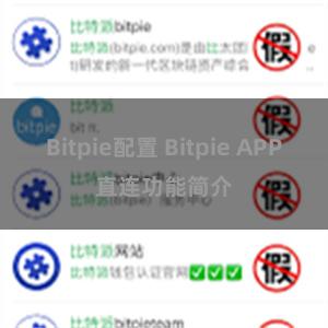 Bitpie配置 Bitpie APP直连功能简介