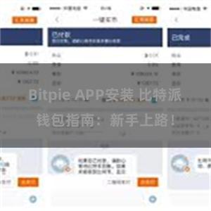 Bitpie APP安装 比特派钱包指南：新手上路！