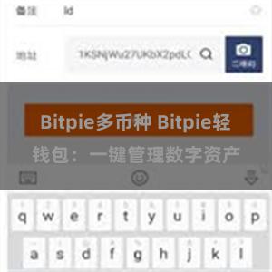 Bitpie多币种 Bitpie轻钱包：一键管理数字资产