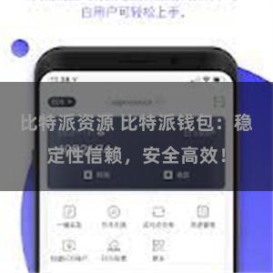 比特派资源 比特派钱包：稳定性信赖，安全高效！
