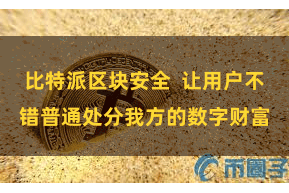 比特派区块安全  让用户不错普通处分我方的数字财富