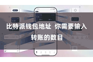 比特派钱包地址  你需要输入转账的数目