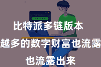 比特派多链版本  越来越多的数字财富也流露出来