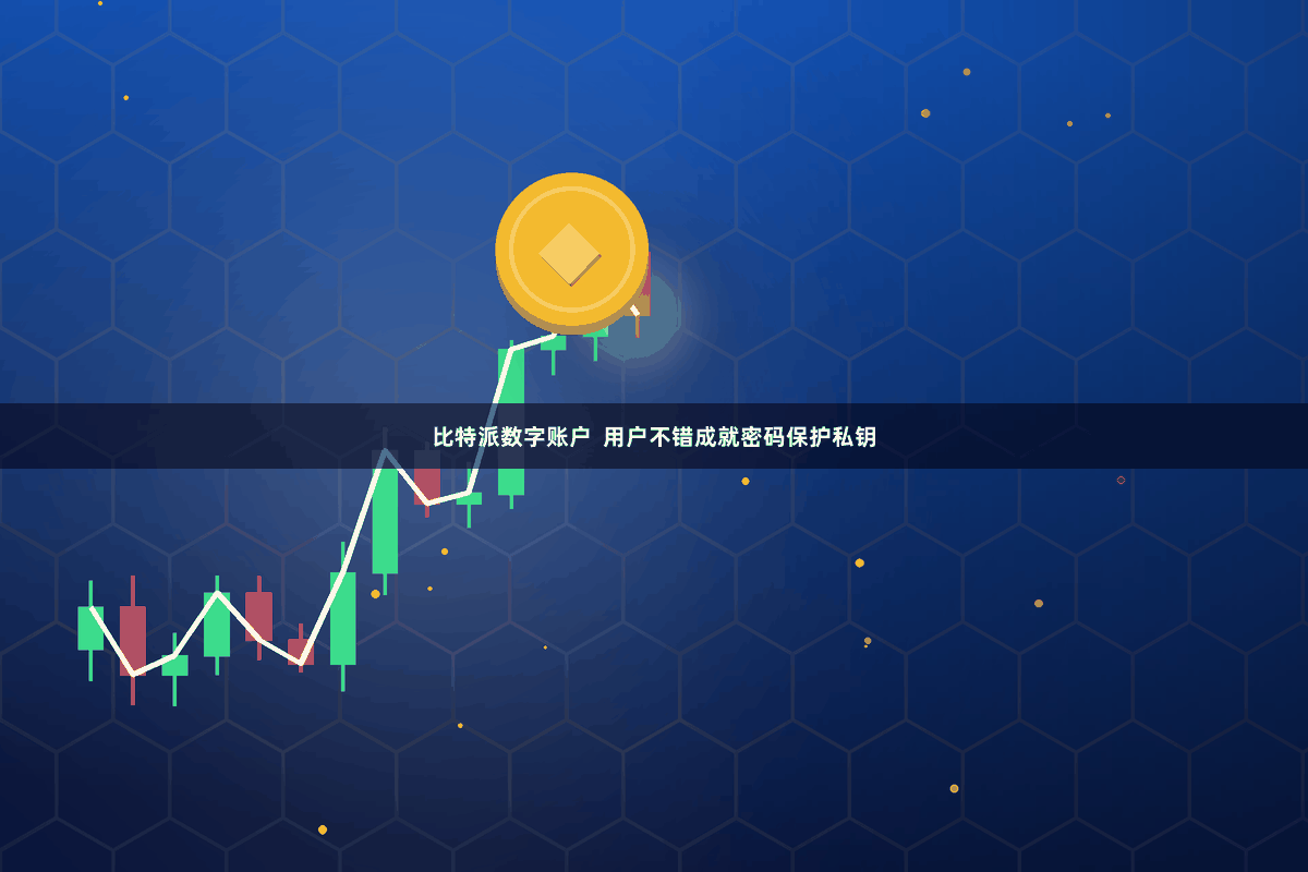 比特派数字账户  用户不错成就密码保护私钥